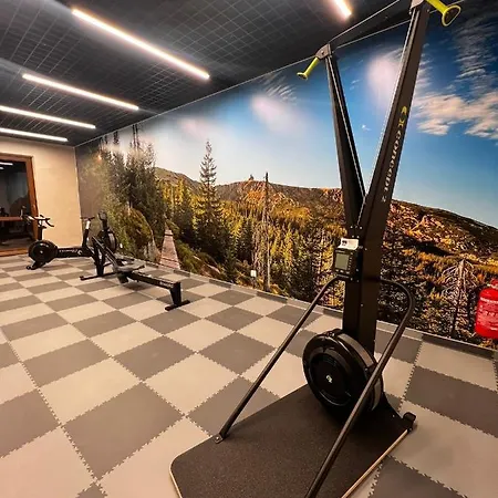 Apart Invest Green Park Resort C9-z dostępem do strefy spa Apartament Szklarska Poręba