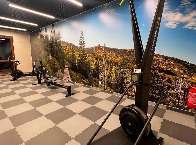 Park C9-z Dostepem Do Basenu, Sauny, Jacuzzi, Silowni Apartment Schreiberhau